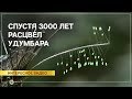 OUM.RU По всему миру расцвёл удумбара, что случается один раз в 3000 лет