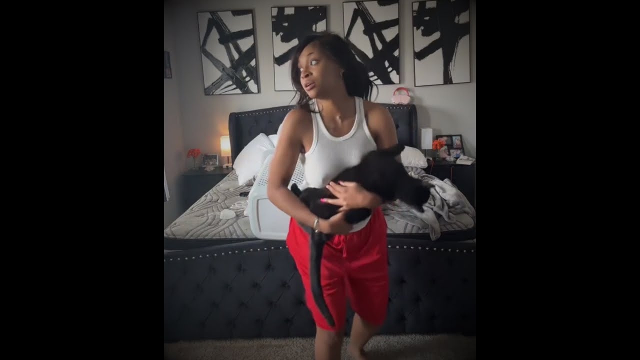 💅🏽 EKane LIVE 💅🏽 Wig Bleaching, Benny, Twerking, Laundry & more…🧻