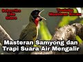 Audio Bening Dan Bersih Masteran Samyong Dan Trapi Suara Air Mengalir Mp3 - Mp4 Download