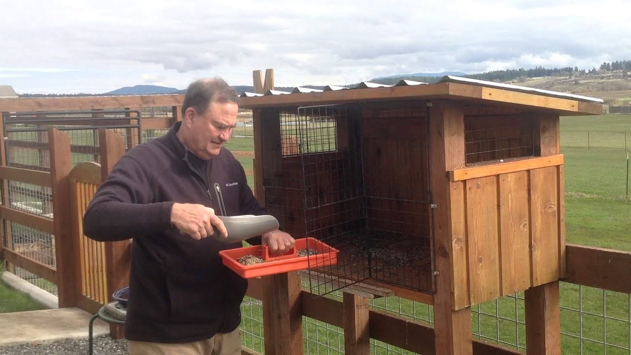 Bills Big Bird Feeder