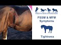 Pssm  mfm symptoms tightness