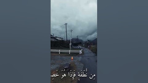 ماهر المعيقلي سورة يس #quran #اكسبلور #القرآن_الكريم #لايك #fyp #viral