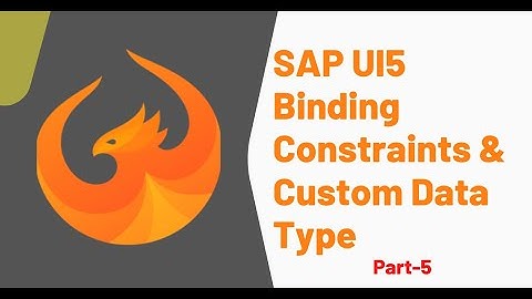 EP 5 | SAP UI5 Binding Constraints & Custom Data Type  | Hands-On