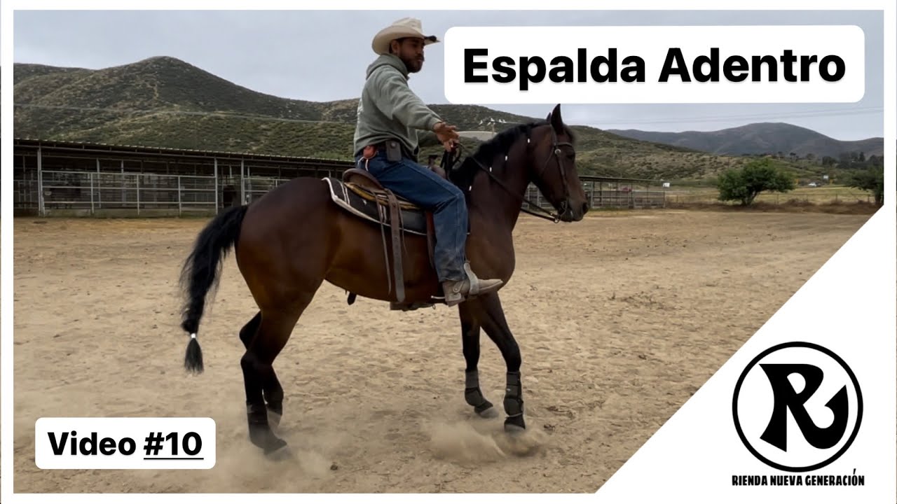 VIDEO #10: Espalda Adentro. Sistema Completo Rienda Nueva Generación