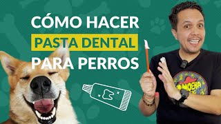 🐶💦 Cómo hacer pasta de dientes para perros 🐾🚰 by Perrhijos 607 views 2 months ago 9 minutes, 51 seconds