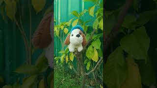 especial minha música DJ Eder pereira swb MC Eder do Brasil