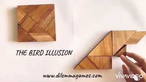 THE BIRD, A TANGRAM PARADOX. A MAGICAL ILLUSION.