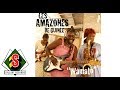 Capture de la vidéo Les Amazones De Guinée - Zawi (Audio)