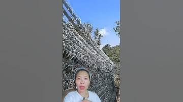 Thumbnail of แนวรั้วเหล็กเสริมลวดหนามหีบเพลง สูง2.30 เมตร กั้นชายแดนเวียดนาม-กัมพูชา สร้างโดยกองทัพเวียดนาม
