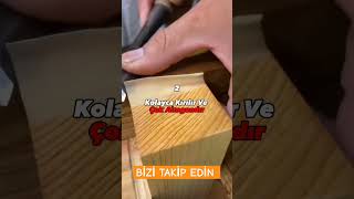 Ahmak Olduğunu Gösteren 4 İşaret Şarı Isa Şimcilik Şiselgelişim