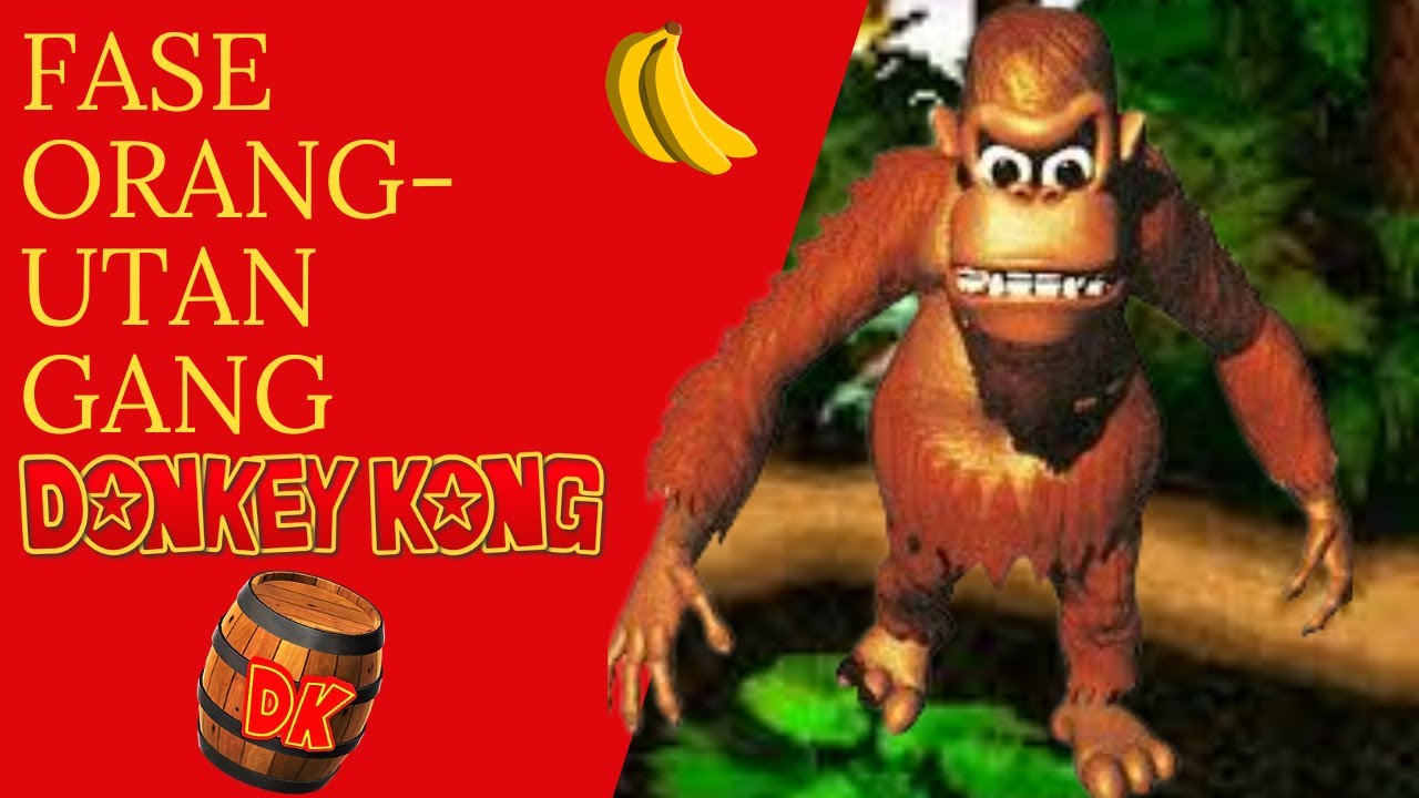 orang utan gang Donkey Kong Country Fase 15 YouTube