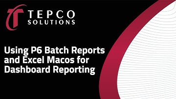TEPCO - Using P6 Batch Reports and Excel Macros for Dashboard Reporting