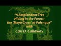 A resplendent tree hiding in the forest the maya cross at palenque with carl d callaway