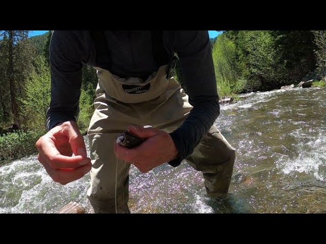 Fly Fishing On The Gallatin River, First Time Fishing With My Beginner Pole  Orvis Encounter Review 