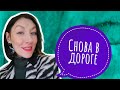 СНОВА В ДОРОГЕ| ЕДУ В ГОСТИ