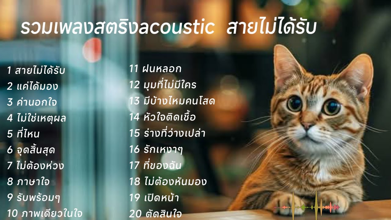 รวมเพลงสตริงอคูสติก สายไม่ได้รับ  💥💥💥