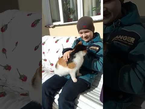 мур мур мяу - YouTube