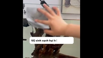 Khăn Lau Kính Bể Cá Yee Siêu Mịn #khan #thuysinh #aquarium