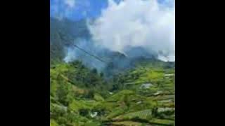 Zalmon 'Diseso Bayang'