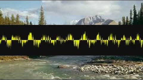 Televisionserenade Hyoid nnyrolglja