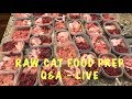 Raw cat food prep with Q&A