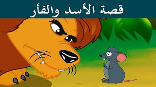 قصة الاسد والفأر   قصة رائعة قراءة رائعة    قصص اطفال قبل النوم