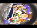 MMD Drama Acme Iku S Birthday HD 