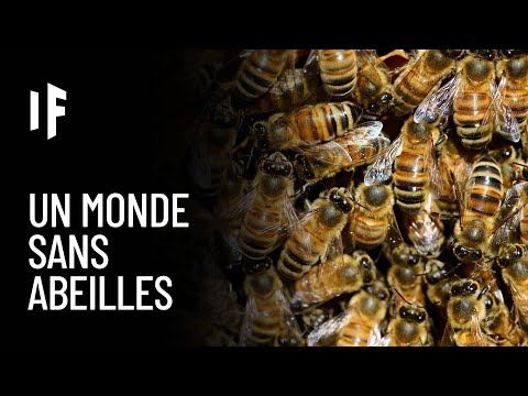 Vidéo: Toutes Les Abeilles Sur Terre Vont Bientôt Disparaître - Vue Alternative