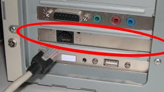 Сетевая карта не видит кабель видео Что делать если на компьютере не работает интернет,а Wi-Fi включен?!