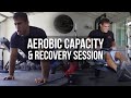 Aerobic Capacity & Recovery Session | JTSstrength.com