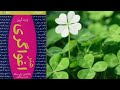 پادکست کتاب هنراغواگری هیچکس منوبه عنوان زن مظلومی که همیشه سکوت می کنه نمی شناسه ومن به این افتخار پادکست کتاب هنراغواگری هیچکس منوبه عنوان زن مظلومی که همیشه سکوت می کنه نمی شناسه ومن به این افتخار