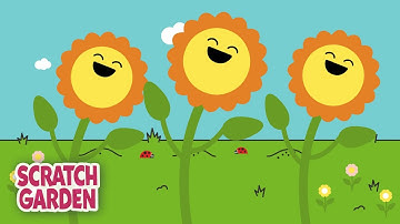 The Parts of a Plant Song | Science Songs | Scratch Garden