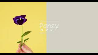 Pansy -Today's Flower-                            ⚫︎Mar.02.2022⚫︎