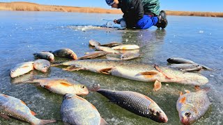 видео: ЛОВИМ ЩУК, А ТУТ ВОБЛА ПОШЛА! НЕ ЗРЯ МОРМЫШКИ ВЗЯЛ НА РЫБАЛКУ С СЫНОМ НАШЛИ МЕРЕЖУ/СЕКРЕТ ЧТО В НЕЙ? картинка: ЛОВИМ ЩУК, А ТУТ ВОБЛА ПОШЛА! НЕ ЗРЯ МОРМЫШКИ ВЗЯЛ НА РЫБАЛКУ С СЫНОМ НАШЛИ МЕРЕЖУ/СЕКРЕТ ЧТО В НЕЙ?