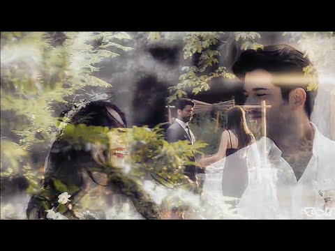 როგორ შემაჩვიე შენს თავს