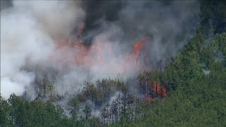 Celebrity NJ Wharton State Forest fire reaches 11,000 acres in size; 50% contained Net Worth