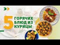 Еда Шоу | 5 горячих блюд из курицы