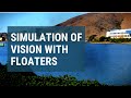 Simulation of vision with floaters