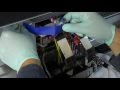 EcoBulk Installation Epson GS6000 Video