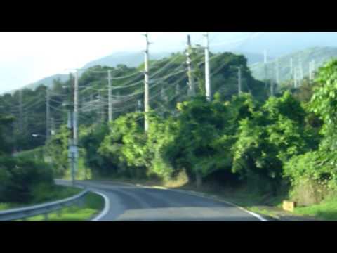 El Yungue Rainforest 3