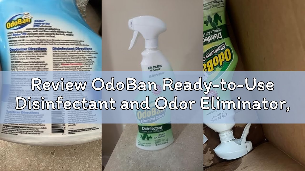 Review OdoBan Ready-to-Use Disinfectant and Odor Eliminator, Set of 2 Spray Bottles, 32 Ounces Each,