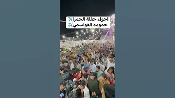 الوضع بدو عمان مرسيدس واربع نسوان الوضع بدو اربد يا ولد اقعد والبد الفنان حموده القواسمي 2023 
