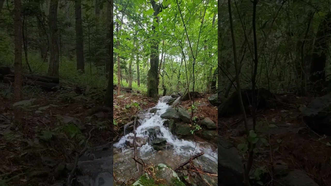 국립 유명산 자연휴양림 비온뒤에만 볼 수있는 계곡 풍경 #travel #여행 #shorts #nature #유명산 #서울근교가볼만한곳 #가평가볼만곳