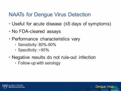 Video: Hvorfor Dør Mennesker Med Dengue? En Scoping Gjennomgang Av Determinanter For Denguedødelighet