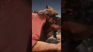 Great survival skills v61#shorts