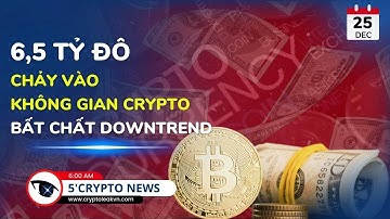 [5 Phút Crypto] - 6,5 Tỷ Đô Đã Chảy Vào Không Gian Crypto Bất Chấp Downtrend