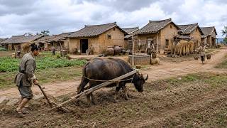 What Peasant Villages Were Like in Ancient China 2,000 Years Ago