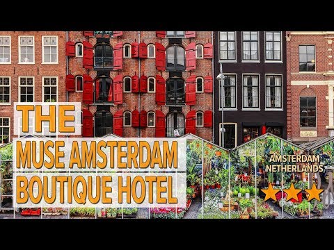 the muse amsterdam boutique hotel hotel review hotels in amsterdam netherlands hotels