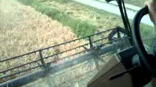 Moisson de l orge 2012