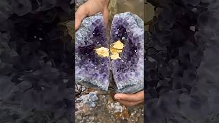 You Wont Believe Whats Inside This Rock Insane Crystal Reveal